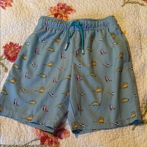 Maamgic Boys Dinosaur Print Swim Trunks